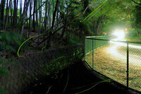 btt_230714_1.JPG