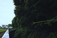 btt_230714_4.JPG