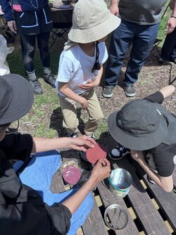 camp_260611_3.jpg