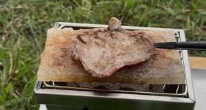 camp_261008_4.jpg