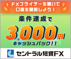 300x250広告.png