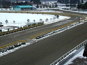 スタンドから見たコース、内馬場は一面雪に覆われているが「今年は少ない方だ」と前出の長田さん