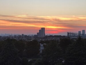 sunset.jpg