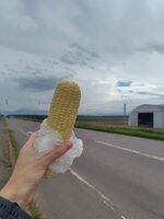 250827103214746.JPG